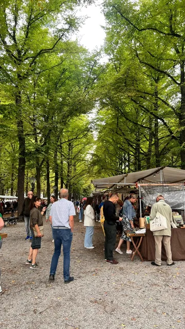 🇳🇱｜Hidden Gems Alert! The Hague’s Cozy Antique Market