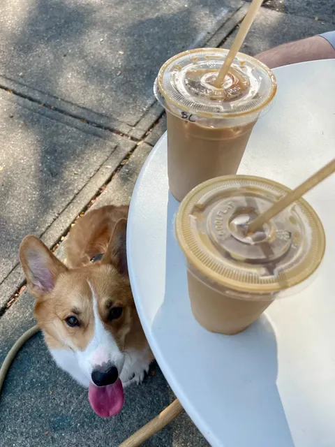 Cincinnati Food Discovery | Fable Café ☕✨