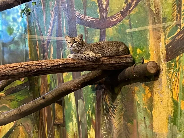  Discover Hungary’s Largest Zoo