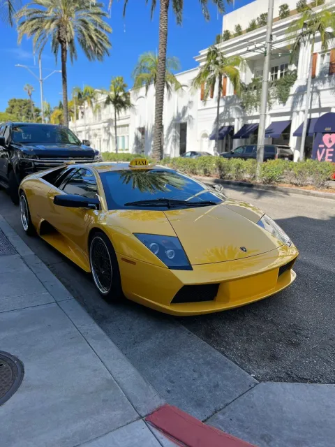 Amongst the Stars in Hollywood