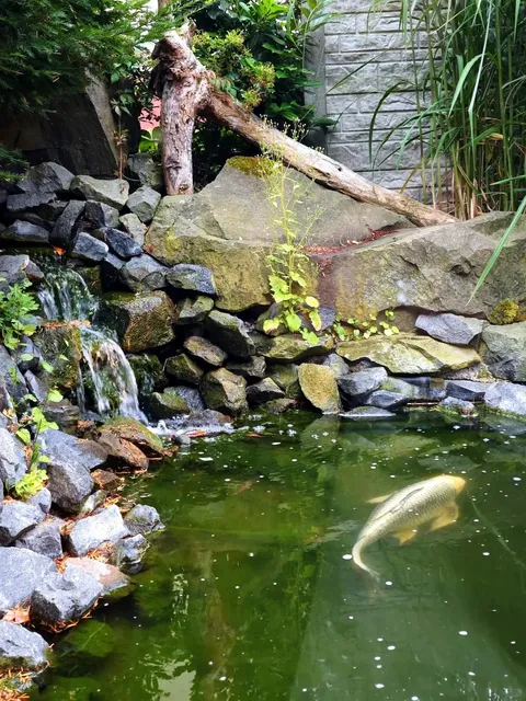 🇩🇪 Leipzig: Must-Try Restaurants This Summer 🍽️🌞