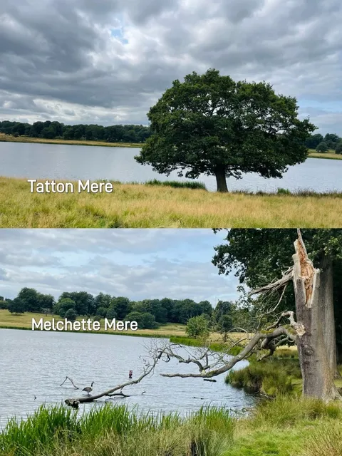 Manchester Surroundings | Hidden Gem - Tatton Park Day Trip
