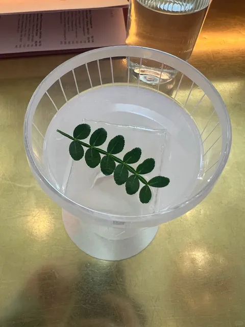 Overstory Rooftop Bar | NYC Skyline Cocktail Experience 🍸✨