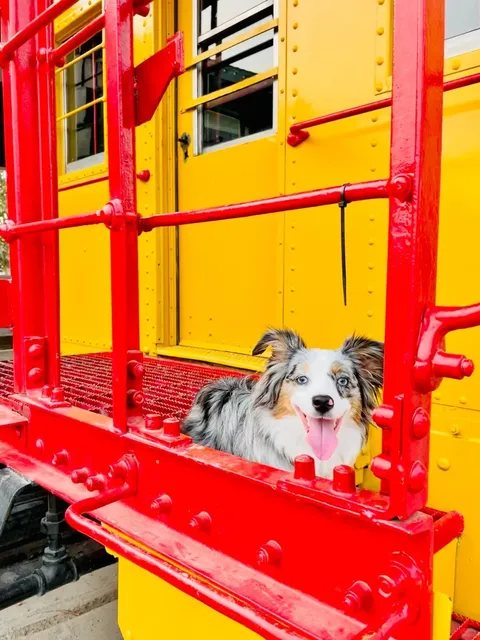 Sacramento is such a photogenic spot — it gives major Westworld vibes!