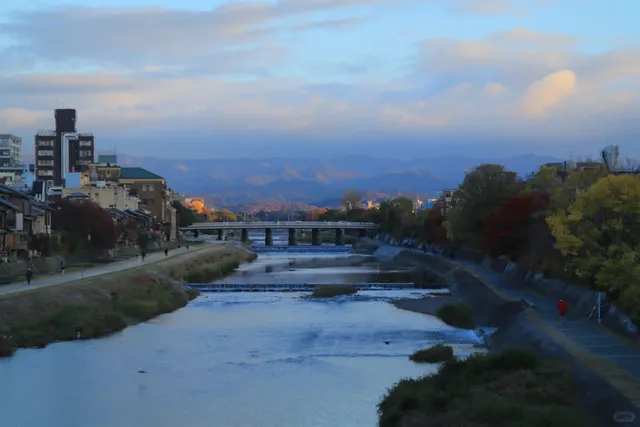 Yoshikawa Moments | I Will Fall in Love Countless Times 💖