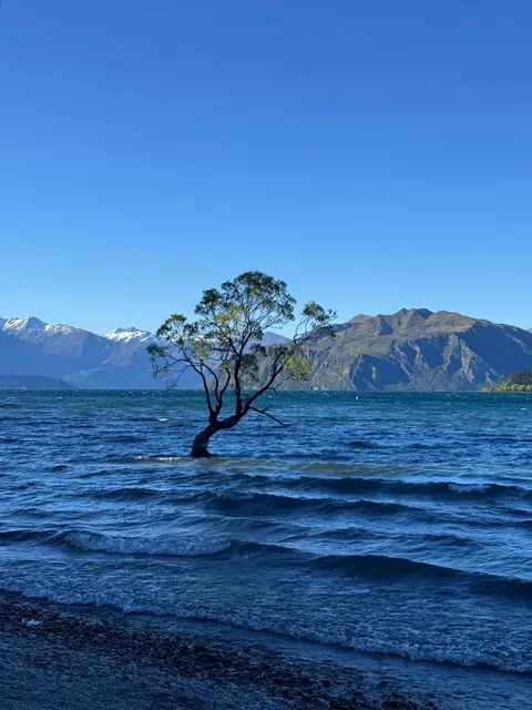 New Zealand Trip Vibes Hit So Hard — I Teared Up While Looking Back 