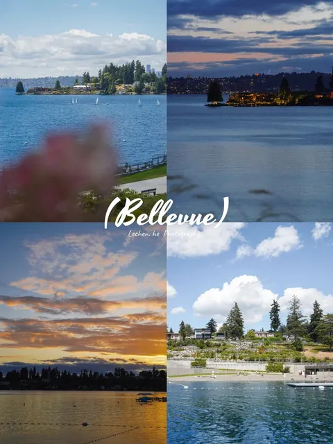 Bellevue | Hidden Gem Park - Meydenbauer Bay Park