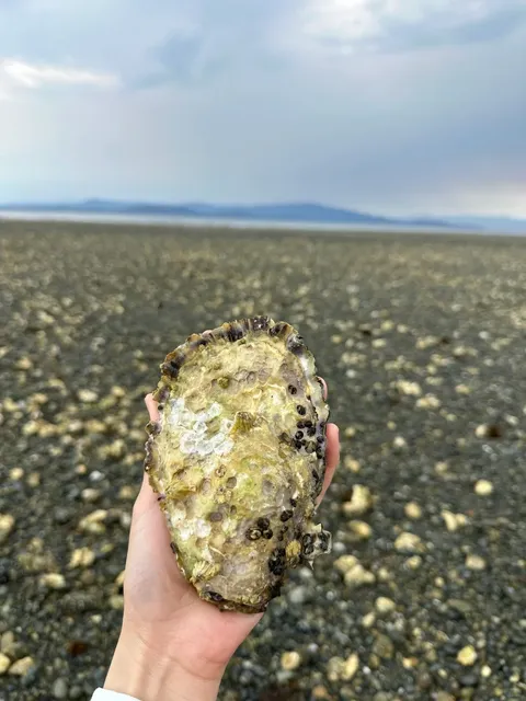 🇨🇦 Must-Read Before Visiting Nanaimo!