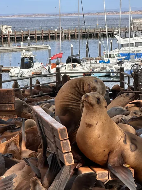 First Stop: Monterey