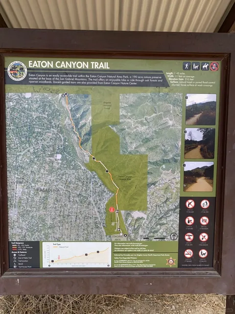 🇺🇸 Eaton Canyon Trail｜LA Summer Hiking Guide 🌞🥾  