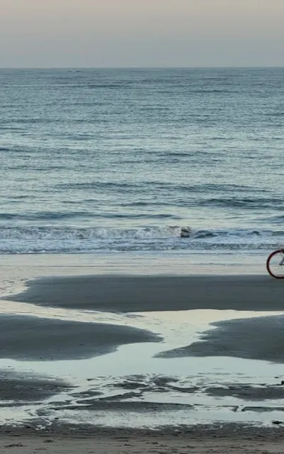🌊 Tybee Island | Savannah's Sun-Drenched Coastal Playground