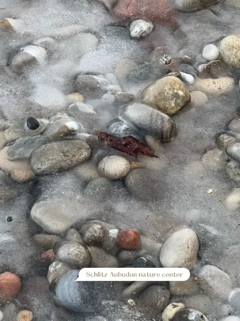  Milwaukee Area｜11 Stunning Frozen Waterfalls You Must See This Winter