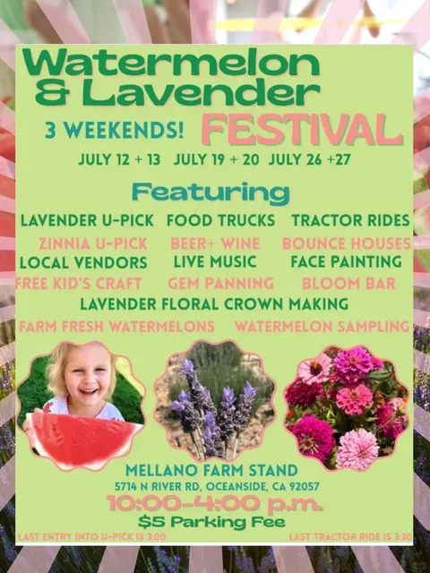 ​​🍉💜 Watermelon & Lavender Festival 2025 ! 💃✨​​