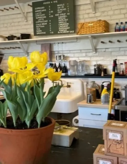 Asher + Rye 🪴 | Savannah’s Cozy Corner for Curated Home Magic