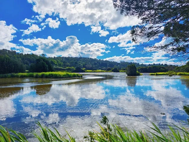 🇦🇺 Launceston Day Trip Guide