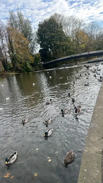 🇬🇧 Bakewell: The Fairytale English Town You Can't Miss! 💕🍓🥧  