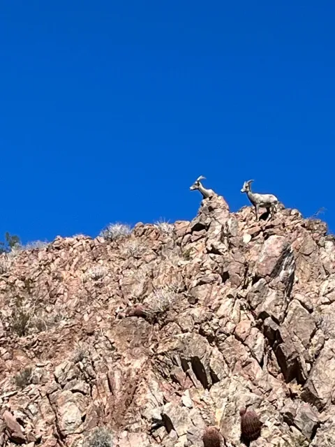 A Beautiful Day on the Water! 