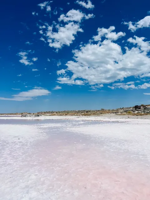🇺🇸 The Pink Salt Lake in Salt Lake City, Utah 💖🏞️