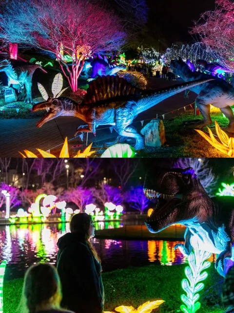 📣 Immersive Dinosaur Starlight Night! A Must