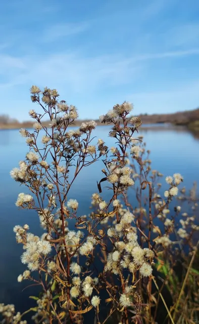 52 Degrees North in North America 🌍❄️