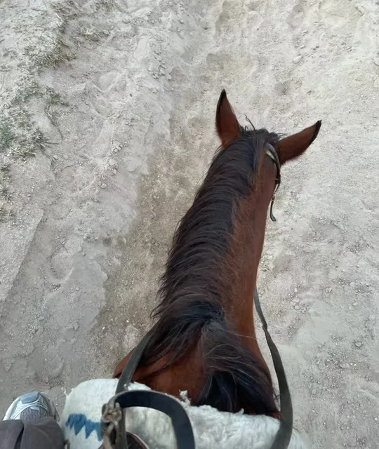 wonderful sunset in Horse Riding