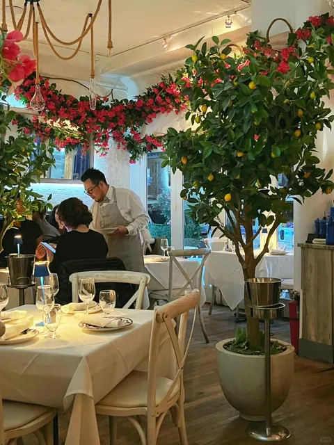 Greek Restaurant in New York!