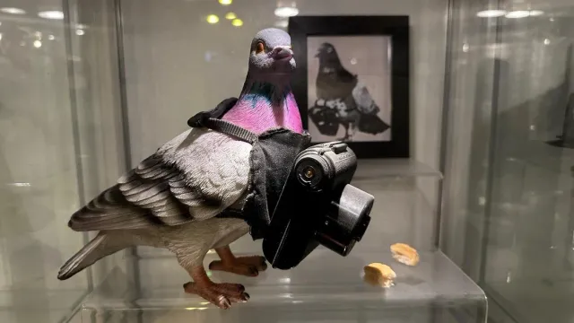 📸 A Wonderful Museum in the Basement! 📸