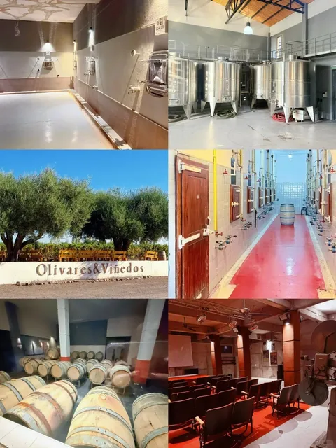 🇦🇷 Mendoza Adventure - 5 Days of Wine & Wonders! ✨