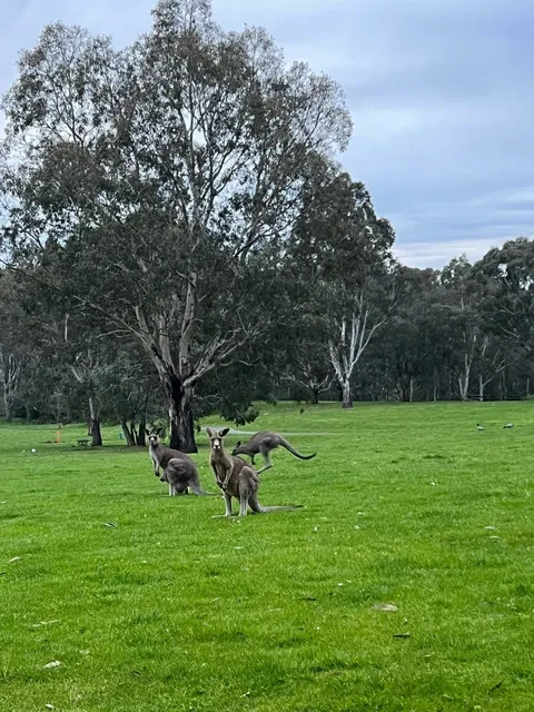  Melbourne Free & Easy | 7D6N Full Guide Under RM5k