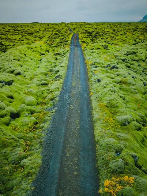 Where to Find Iceland's Mossy Wonderlands