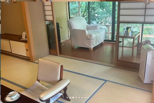 Izu Onsen Hotel is Amazing | Seiryuso 