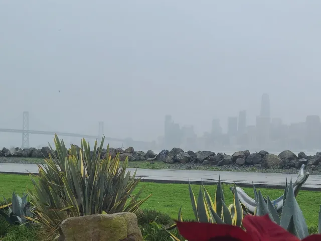 🌟 A Hidden Gem on the Island! 🏝️