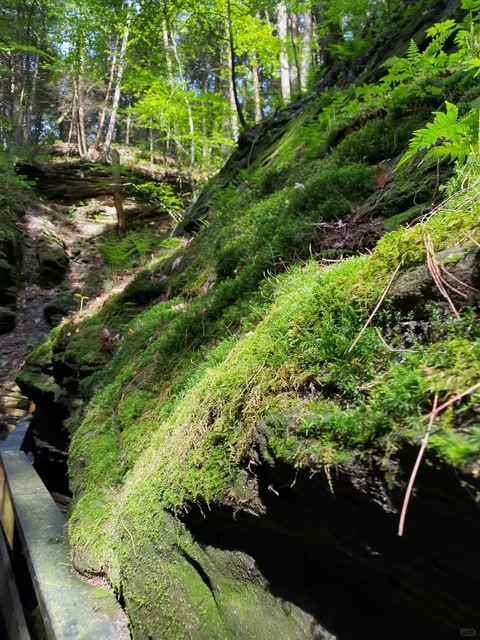 Must-Visit in Wisconsin! Witches Gulch 🧙‍♀️🚤