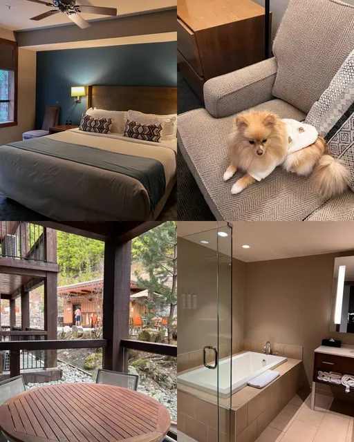 🚗 Your Ultimate Road Trip Guide to Whistler!