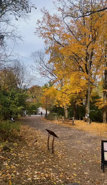 Philadelphia | Weekend Spring Outing at Wissahickon Valley Park