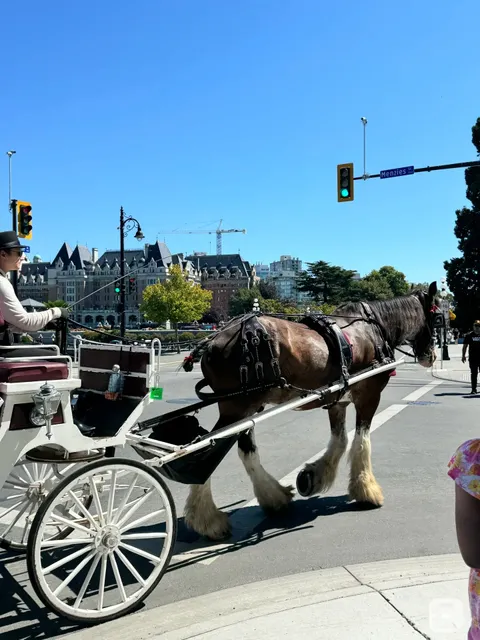 Day trips around Vancouver