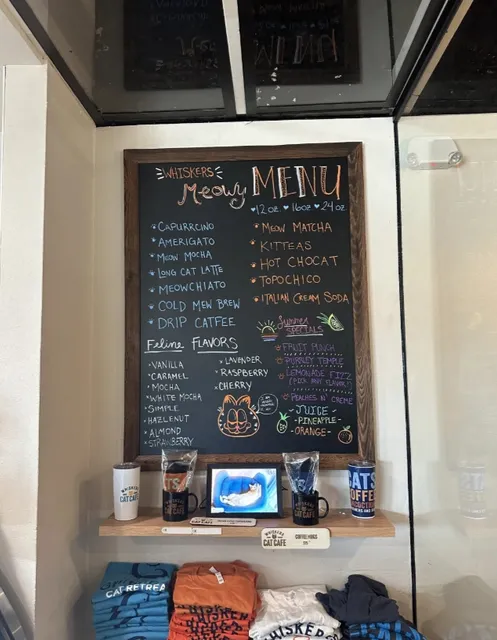 Dallas 🐱 | Found a Cat Café Where You Can Enjoy Coffee and Snacks!