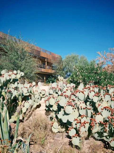 📍Vegas｜Finally Found a Place I Truly Love 🌵