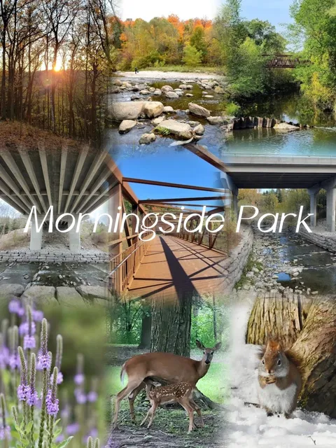 🇨🇦 Morningside Park Toronto Guide + Visiting Tips 🌳✨