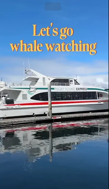 Seattle Travel Inspiration | Summer Whale Watching Tour
