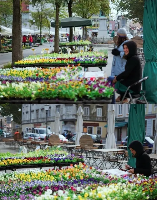 ✈️ A Must-Visit Destination: The Country with "Love" in Its Name