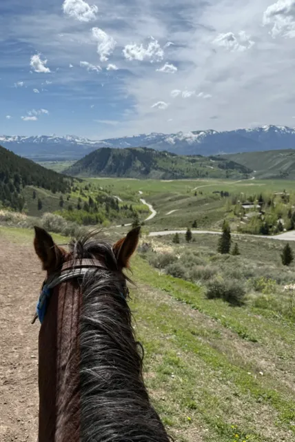 Fulfilling the Cowboy Dream in Grand Teton🐎
