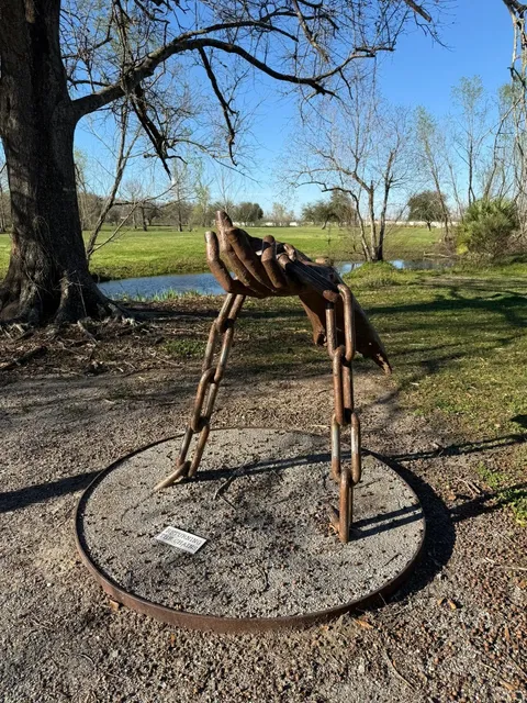 No Wings, But... New Orleans Delivers! 🌟