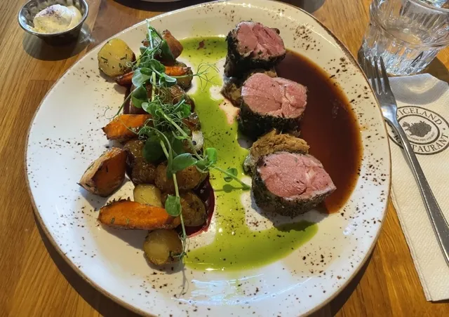 Reykjavik Dining: A Culinary Journey🩵