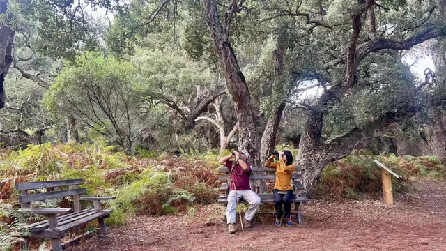 You Must Visit This Enchanting National Park in Spain!