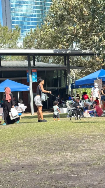 Houston | Weaving the Tapestry of World Civilization Under the Texan S