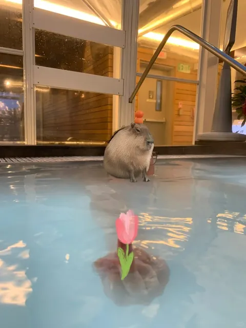 Winter’s First Noodle Bowls 🍜 | NJ Edition