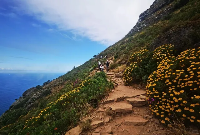 🇿🇦 Lion's Head Hike: Cape Town's Best-Kept Secret!