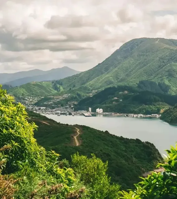 🇳🇿 New Zealand's Hidden Gem: The Picturesque Port Town of Picton