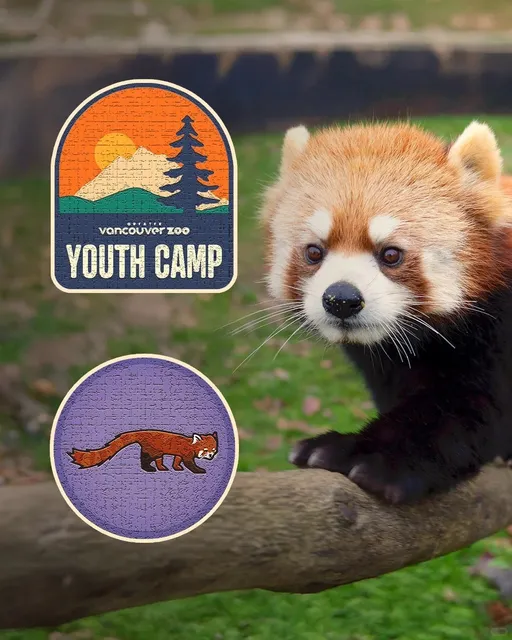 🇨🇦 Zoo Summer Camp Adventure for 10-14 Year Olds!🐯✨